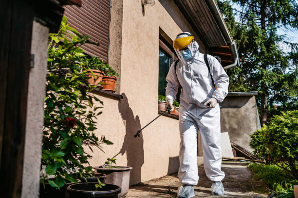 Best Local Pest Control Services  in Warr Acres, OK