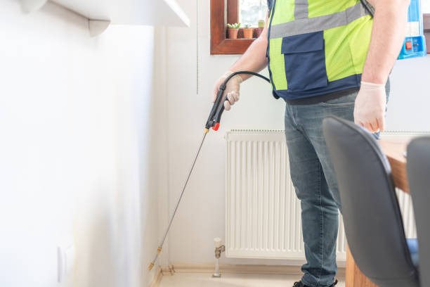 Best Termite Control Services  in Warr Acres, OK