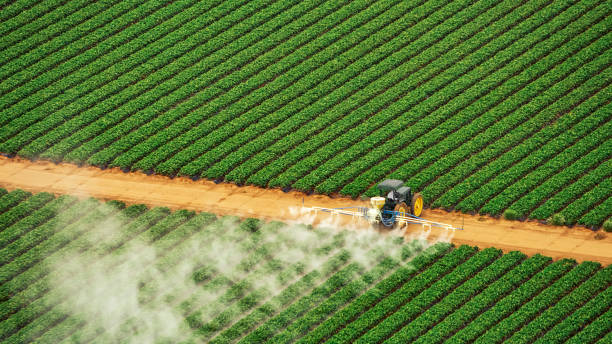 Reliable Warr Acres, OK Pest Control Solutions