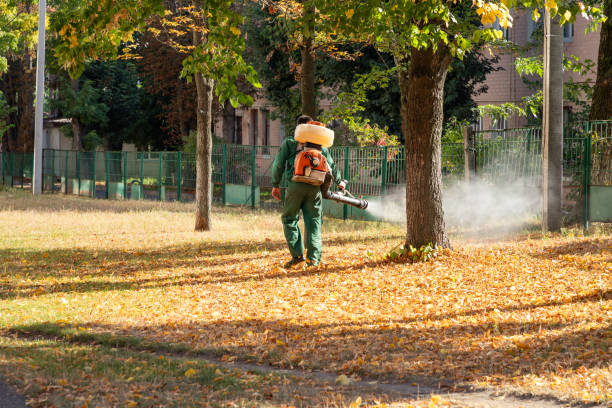 Best Pest Inspection Near Me  in Warr Acres, OK